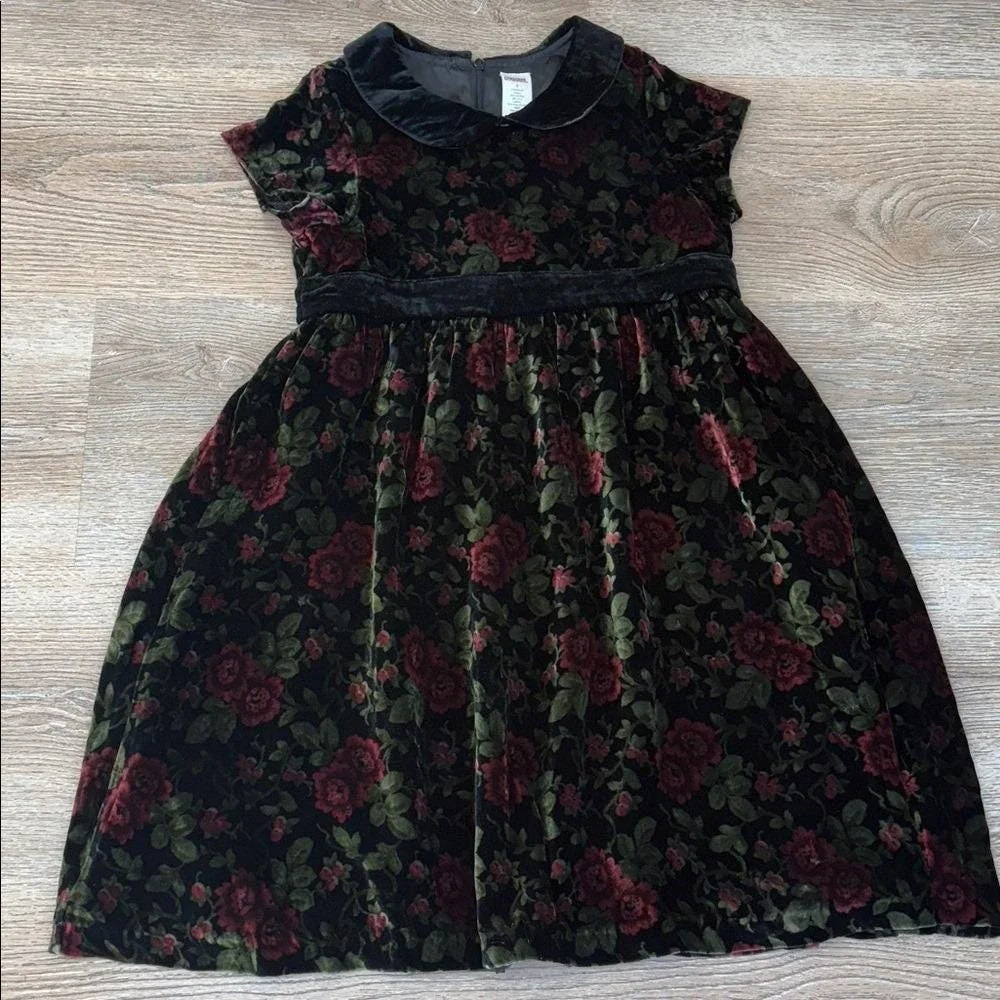 Gymboree Girls Velvet Floral Holiday‎ Valentine Dress Peter Pan Collar Size 9